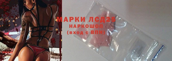 стаф Нефтекумск