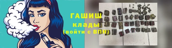 гашик Болотное