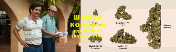 гашик Горнозаводск