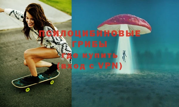 МДПВ Нея
