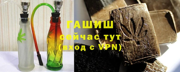 гашик Болотное