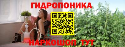 спиды Гагарин
