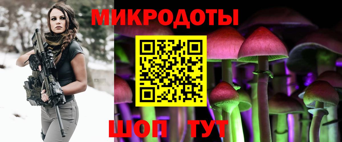 Галлюциногенные грибы Psilocybine cubensis Гуково