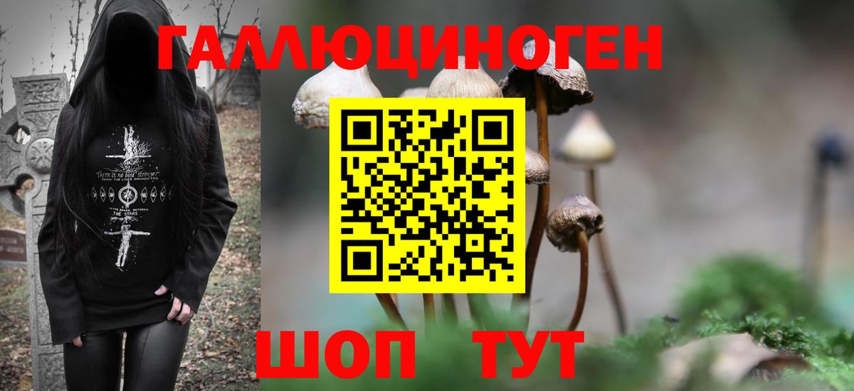 Псилоцибиновые грибы MAGIC MUSHROOMS  Галлюциногенные грибы Cubensis  Гуково 