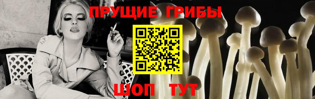 Галлюциногенные грибы Psilocybe  Галлюциногенные грибы GOLDEN TEACHER  Вход с VPN  Гуково 